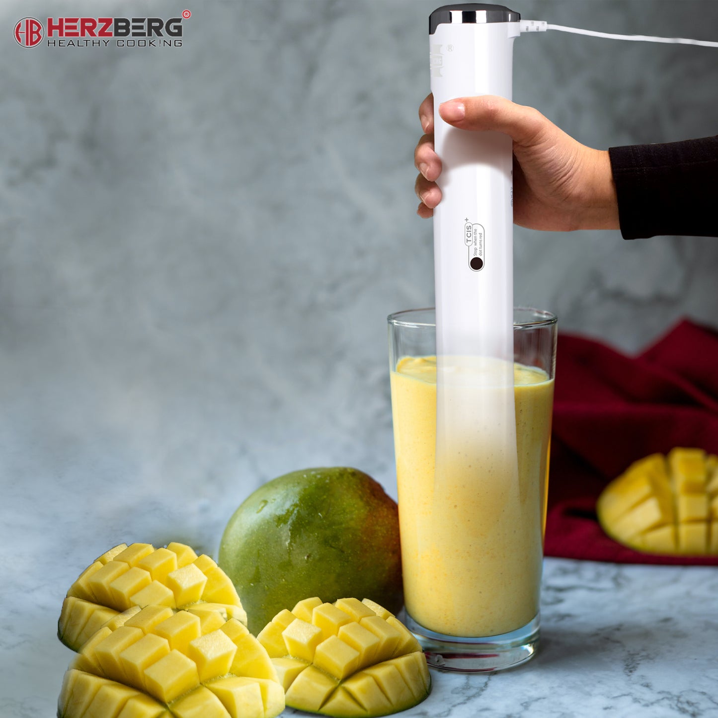 Frullatore a Immersione Herzberg
