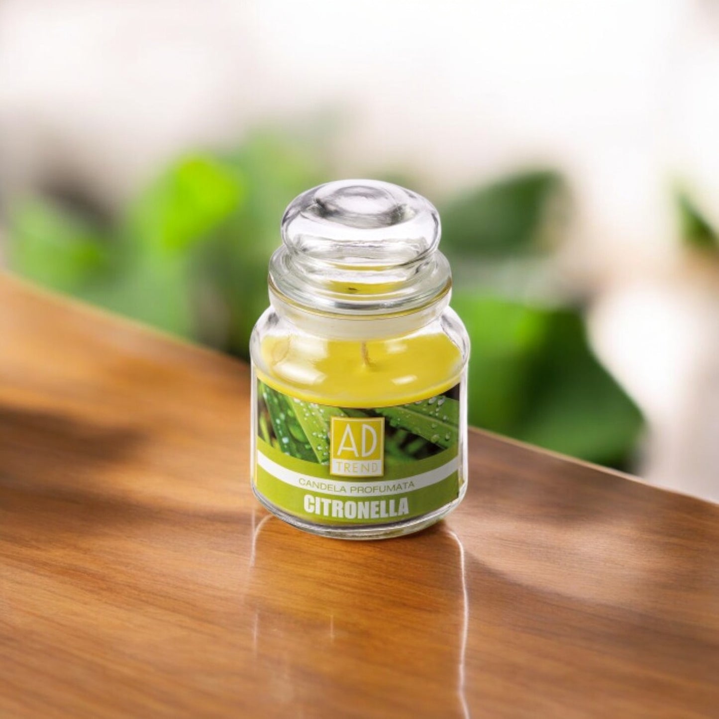 Candela citronella con barattolo in vetro