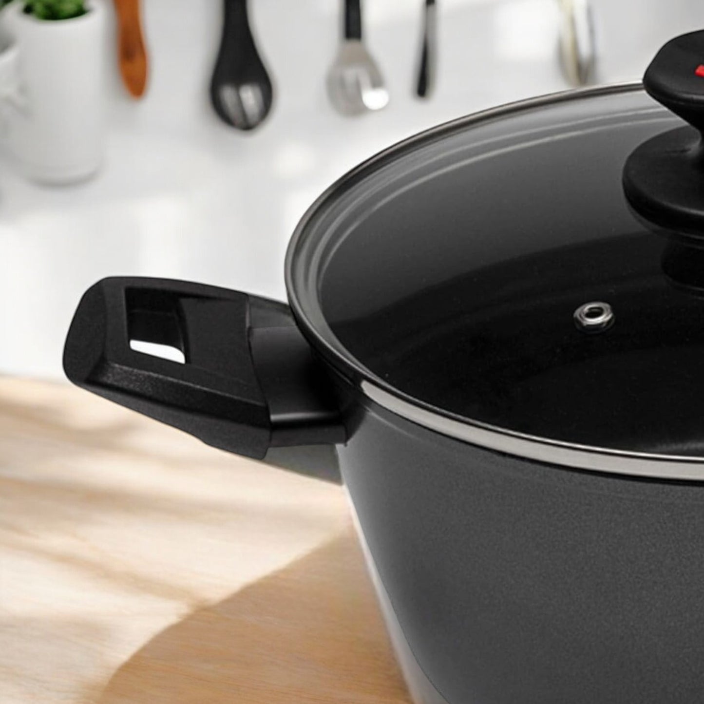 Casseruola con Coperchio Antiaderente Evolution - Diametro 24 cm