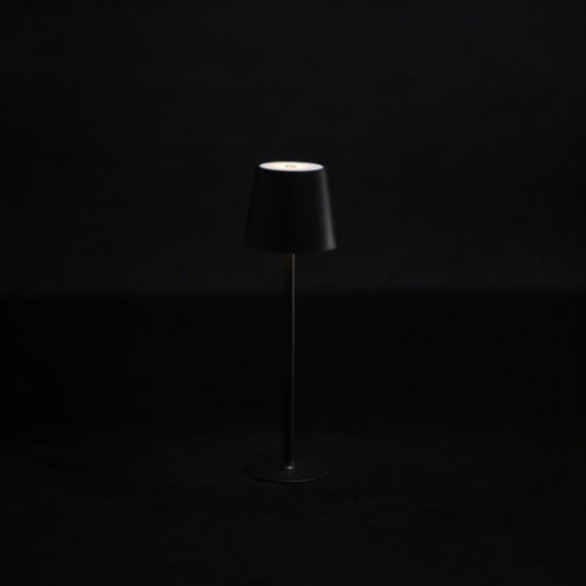 Lampada da Tavolo Touch Ricaricabile Aldy con Cavo USB-C