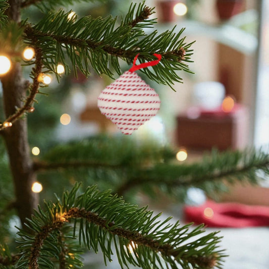 Decorazione Natale in Polistirolo Rosso e Bianco da Appendere