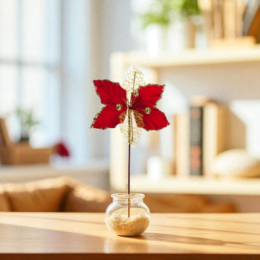 fiore rosso natalizio in un vasetto con della sabbia, ambientato in una casa calda.