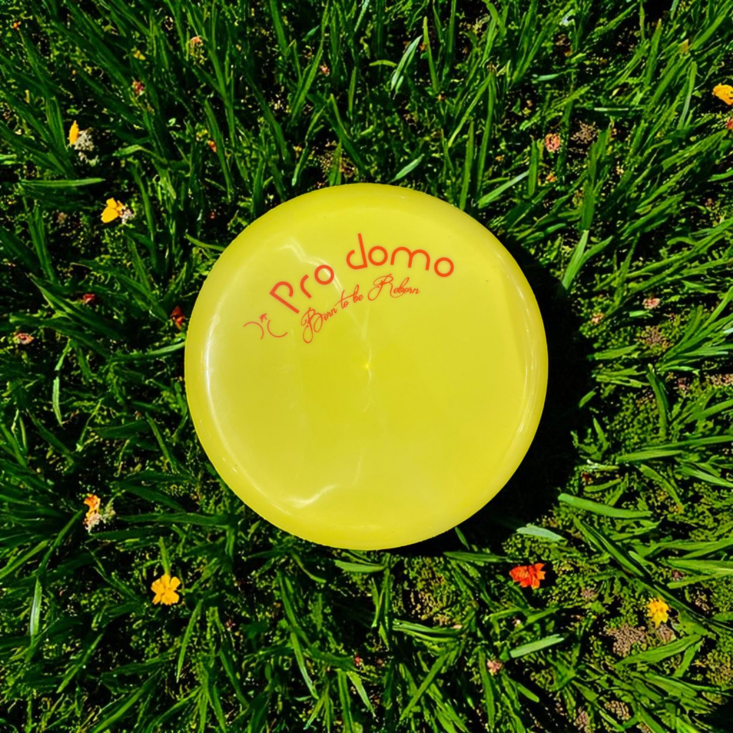 Frisbee ProDomo in plastica leggera su fondo erboso, ideale per giochi all’aperto. Venduto da ProDomo - negozio casalinghi online