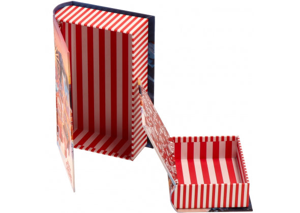 Set 2 Pacco Regalo Natale a Forma di Libro - 2 decori assortiti