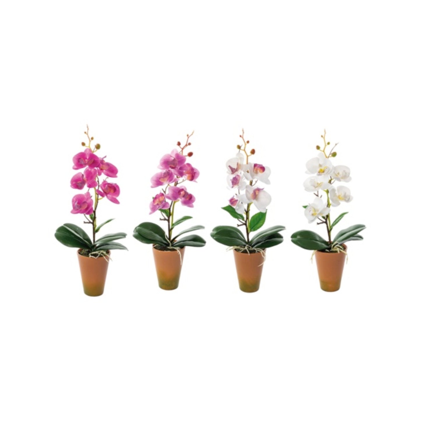Vaso con Orchidea Artificiale a 4 Fiori – Assortito in 4 Colori