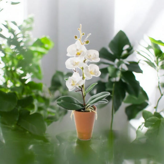 Vaso con Orchidea Artificiale a 4 Fiori – Assortito in 4 Colori