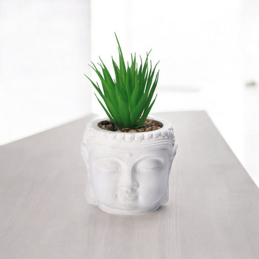 Vaso con Piantina Grassa per Decorazione – Assortito in 3 Colori