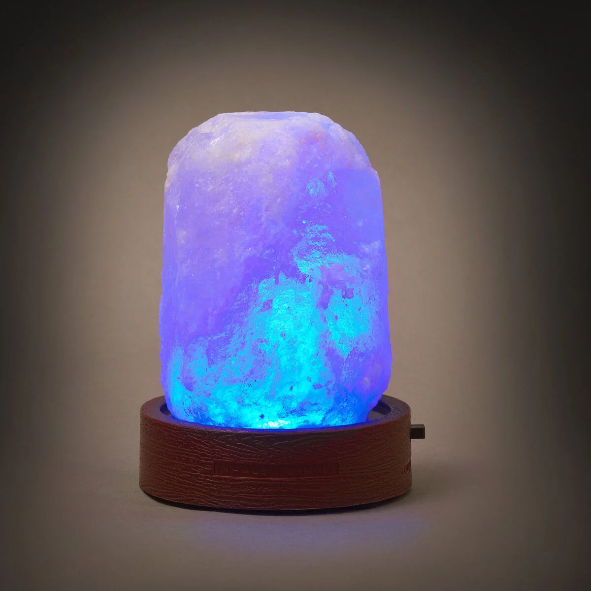 Lampada di sale dell’Himalaya Mini Legami