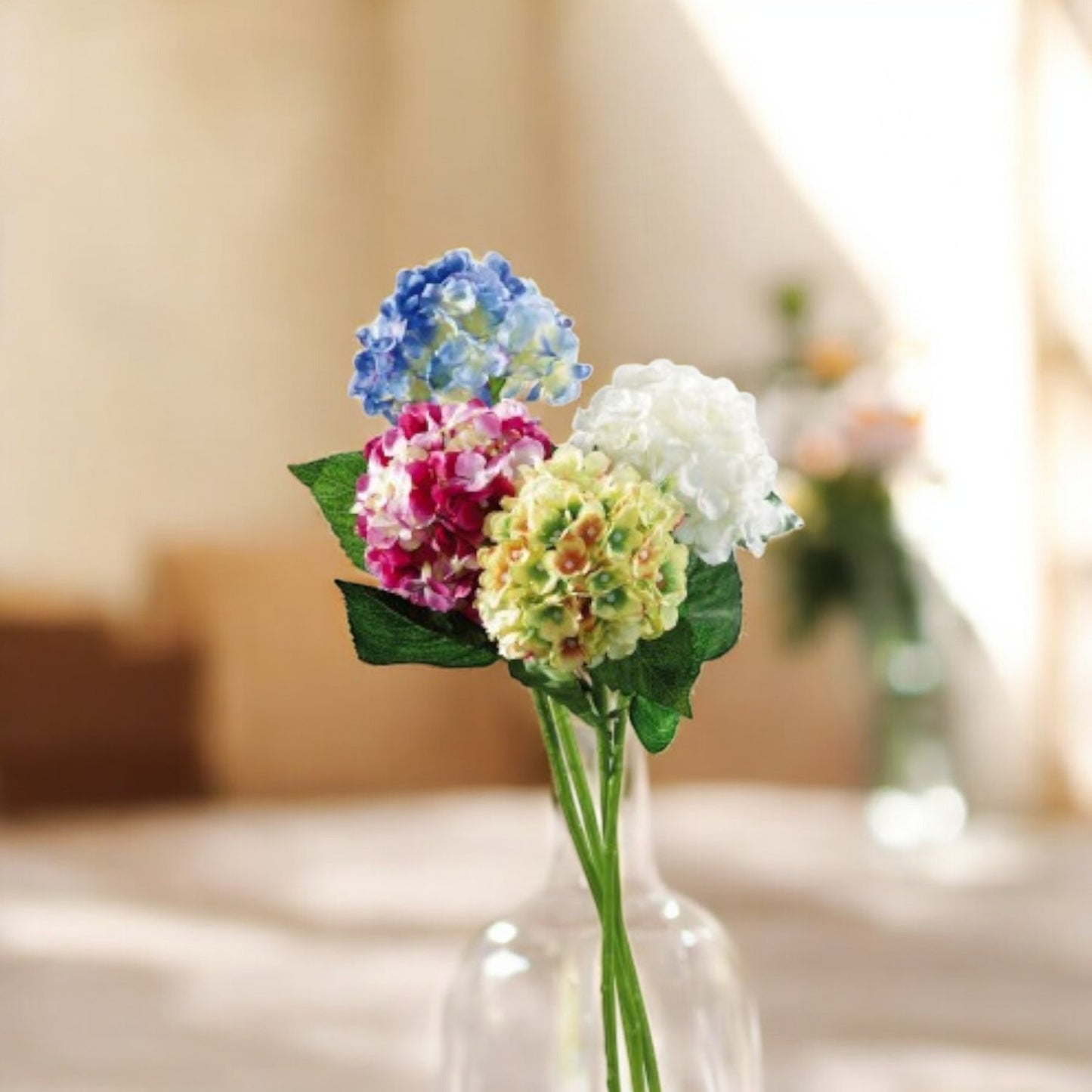 Ortensia per decorazione