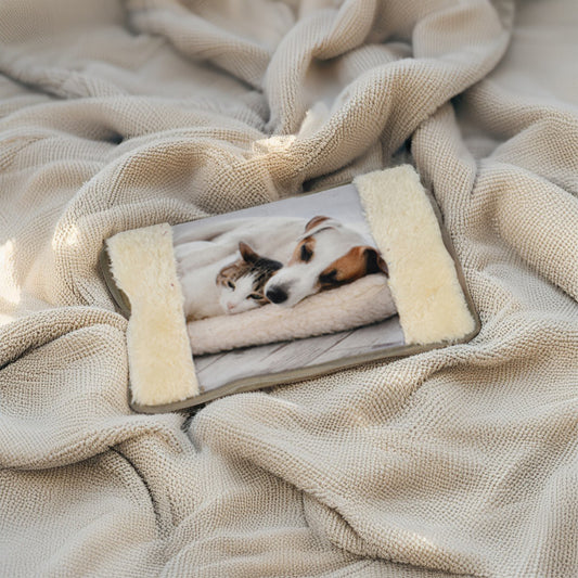 Borsa Acqua Calda Elettrica 18x26 cm - Stampe Cane Assortite