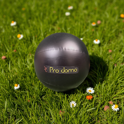 Pallone da Spiaggia Gonfiabile Nero | ProDomo