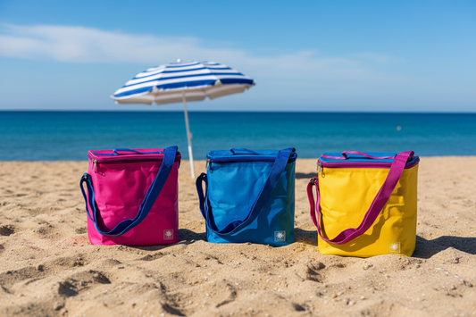 Borsa Termica 9 L – Assortita 4 Colori – 26×17×25 cm