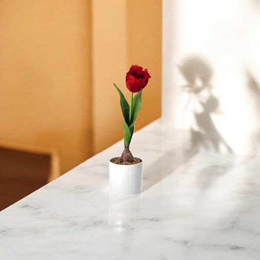 Vaso con Tulipano – 4 Colori Assortiti