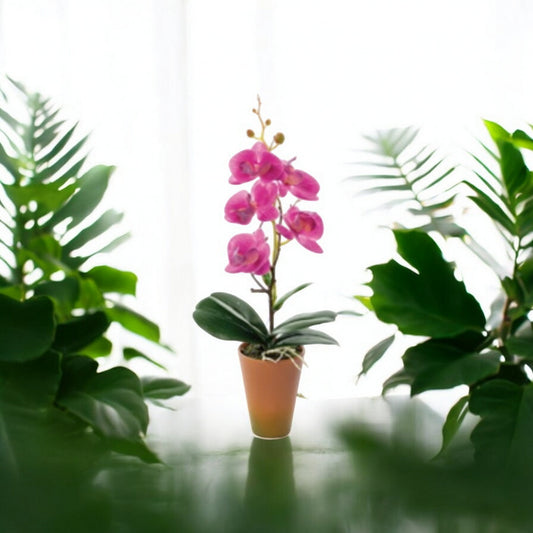 Vaso con Orchidea Artificiale a 4 Fiori – Assortito in 4 Colori