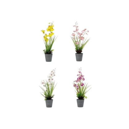 Vaso con Orchidea Decorativa