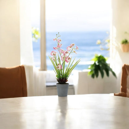 Vaso con Orchidea Decorativa