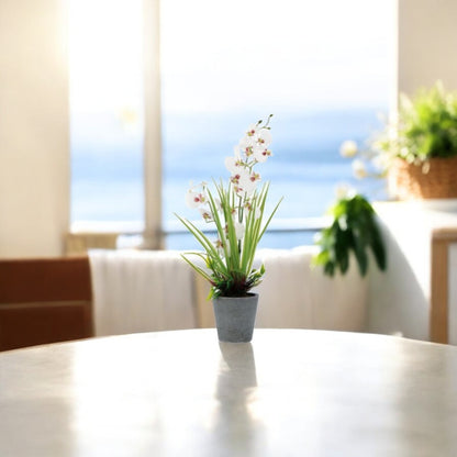 Vaso con Orchidea Decorativa
