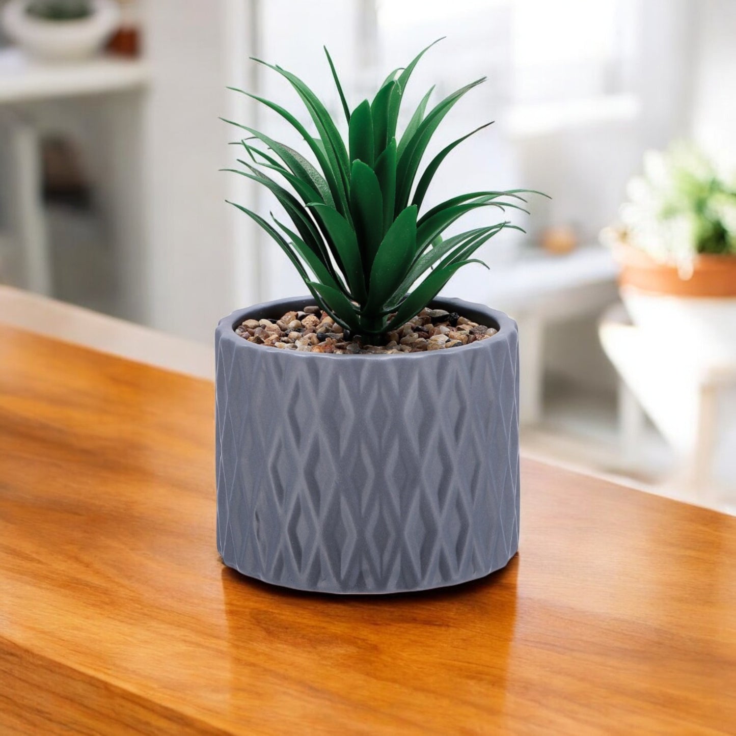 Vaso con Pianta Grassa Decorativa – Assortito in 2 Colori