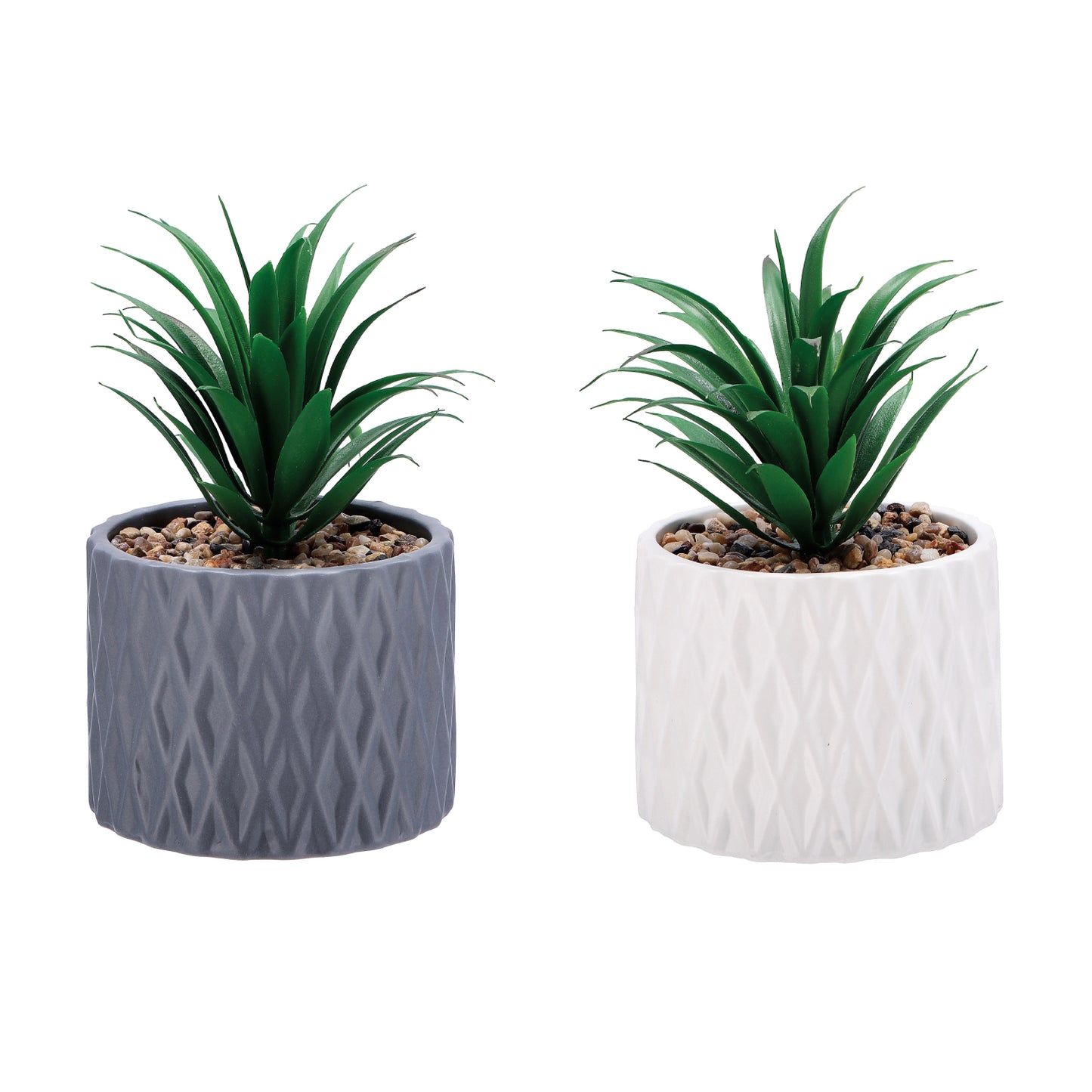 Vaso con Pianta Grassa Decorativa – Assortito in 2 Colori