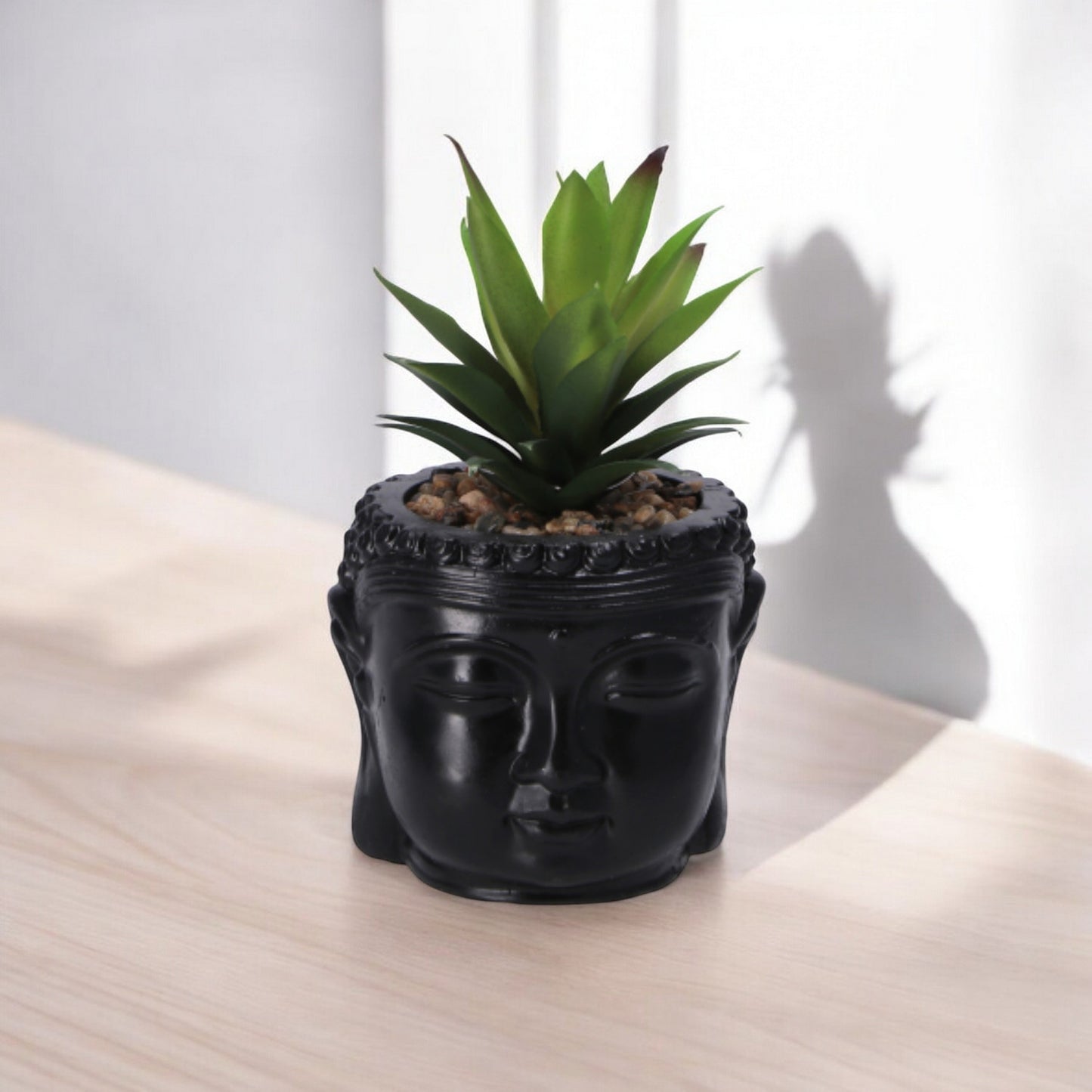 Vaso con Piantina Grassa per Decorazione – Assortito in 3 Colori
