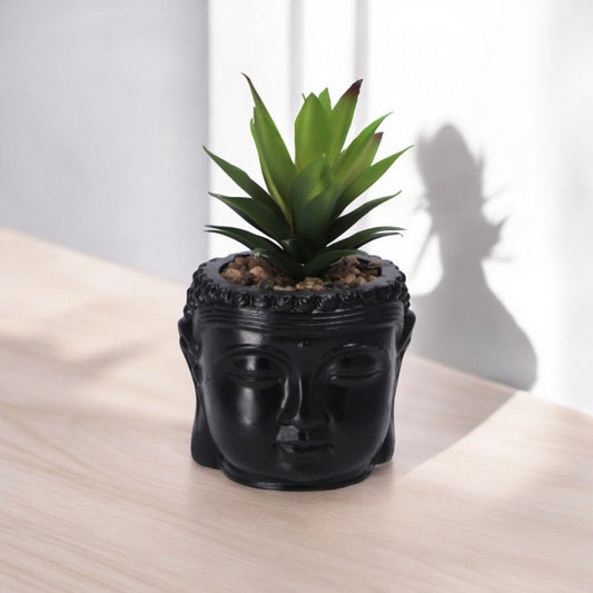 Vaso con Piantina Grassa per Decorazione – Assortito in 3 Colori