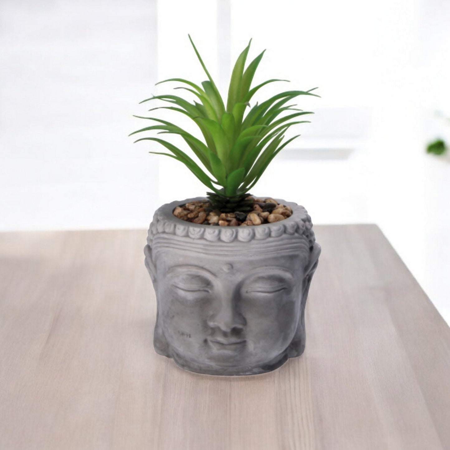 Vaso con Piantina Grassa per Decorazione – Assortito in 3 Colori
